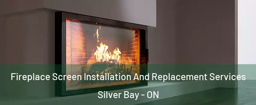  Fireplace Screen Installation And Replacement Services Silver Bay - ON