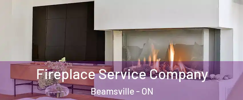  Fireplace Service Company Beamsville - ON