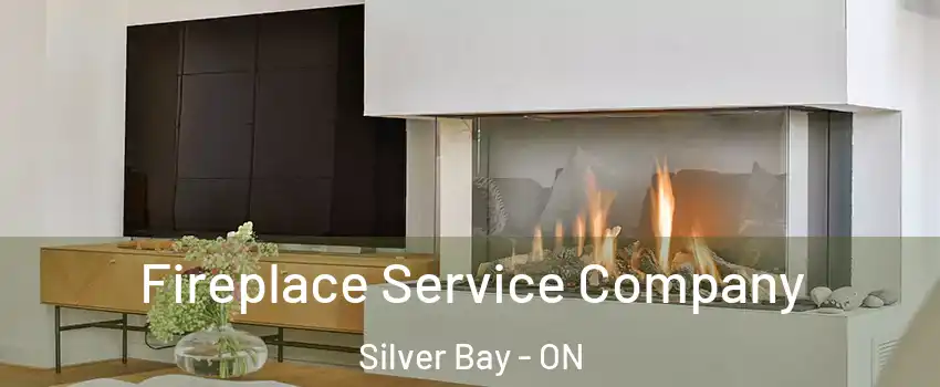 Fireplace Service Company Silver Bay - ON