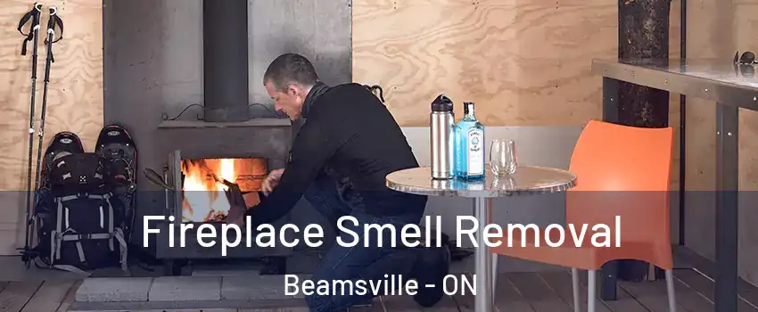  Fireplace Smell Removal Beamsville - ON