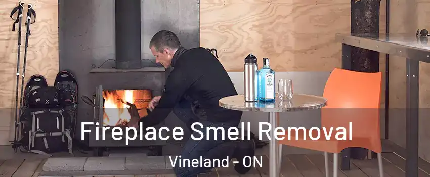  Fireplace Smell Removal Vineland - ON