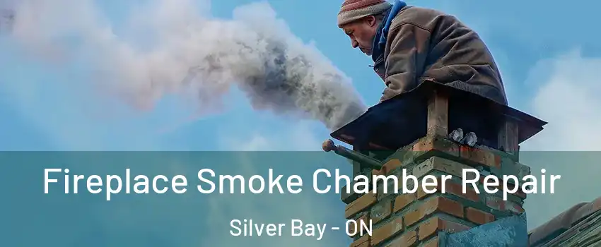  Fireplace Smoke Chamber Repair Silver Bay - ON