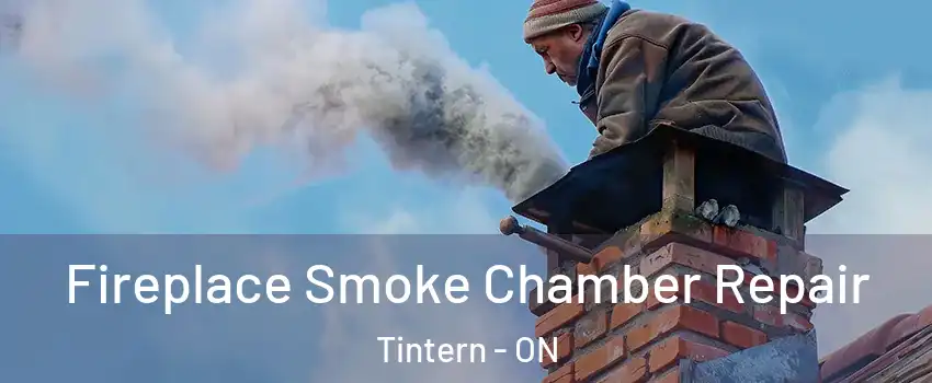  Fireplace Smoke Chamber Repair Tintern - ON