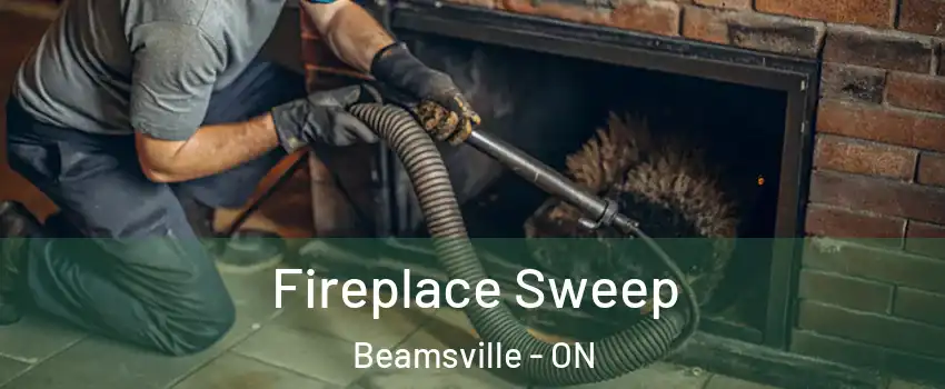  Fireplace Sweep Beamsville - ON
