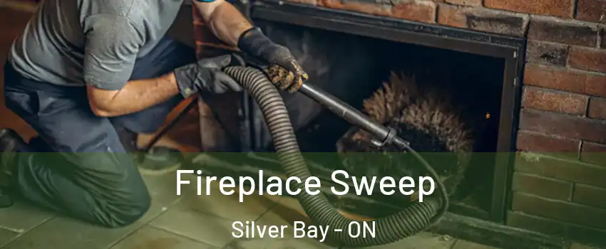  Fireplace Sweep Silver Bay - ON