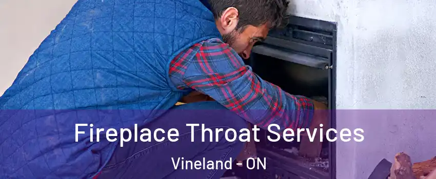  Fireplace Throat Services Vineland - ON