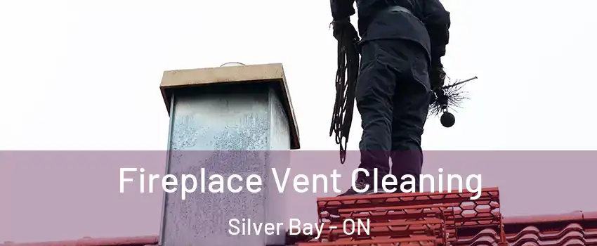 Fireplace Vent Cleaning Silver Bay - ON