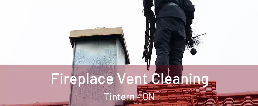  Fireplace Vent Cleaning Tintern - ON