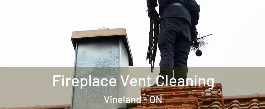  Fireplace Vent Cleaning Vineland - ON