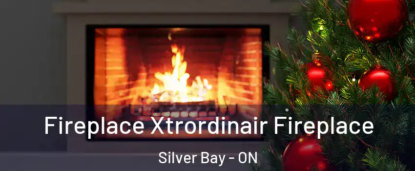 Fireplace Xtrordinair Fireplace Silver Bay - ON