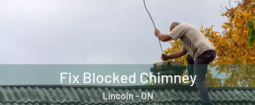 Fix Blocked Chimney Lincoln - ON