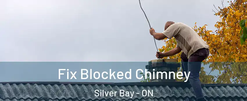Fix Blocked Chimney Silver Bay - ON