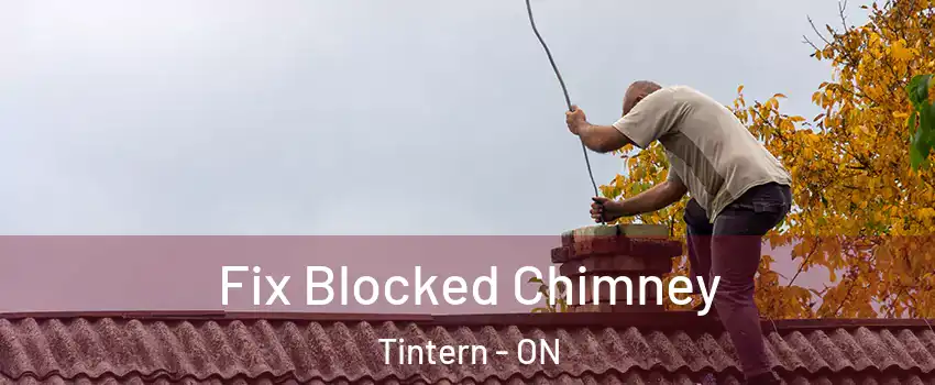 Fix Blocked Chimney Tintern - ON