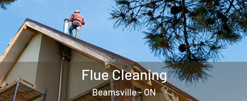 Flue Cleaning Beamsville - ON