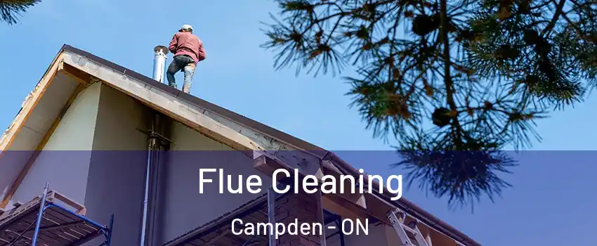  Flue Cleaning Campden - ON