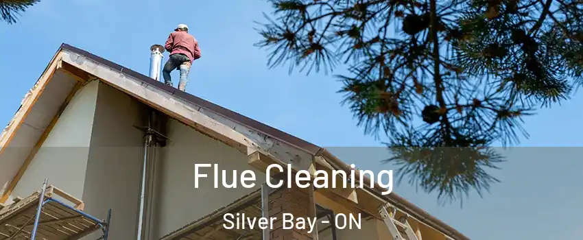 Flue Cleaning Silver Bay - ON