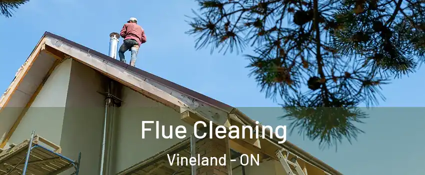 Flue Cleaning Vineland - ON