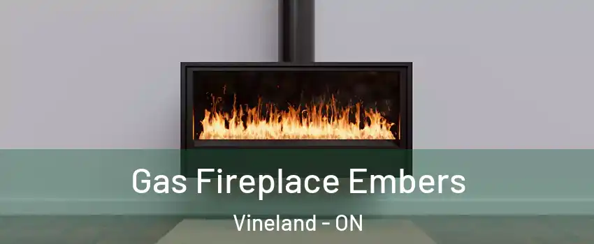  Gas Fireplace Embers Vineland - ON