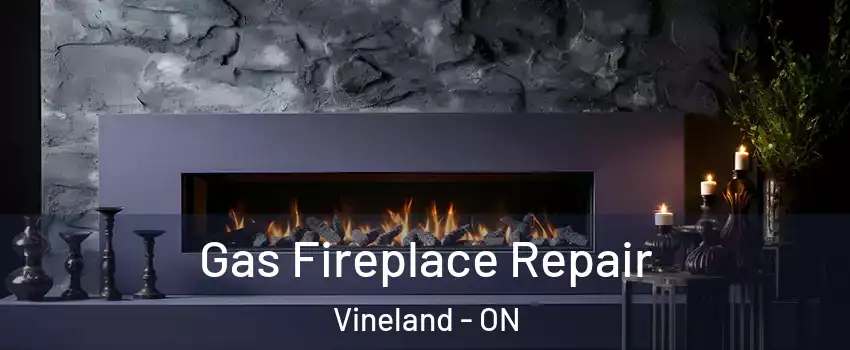 Gas Fireplace Repair Vineland - ON
