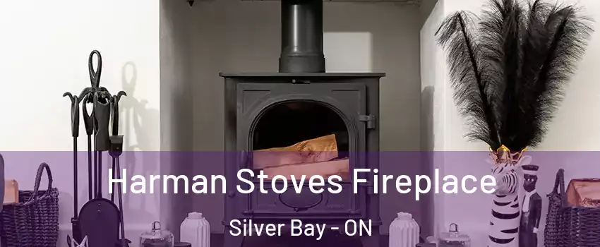 Harman Stoves Fireplace Silver Bay - ON