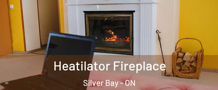 Heatilator Fireplace Silver Bay - ON