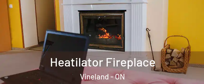  Heatilator Fireplace Vineland - ON
