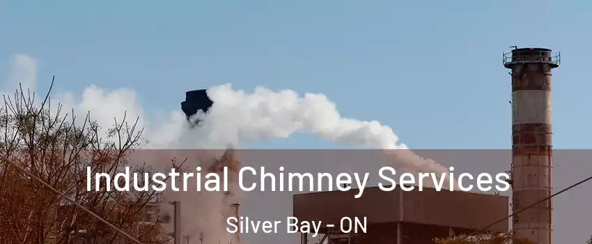  Industrial Chimney Services Silver Bay - ON