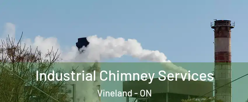  Industrial Chimney Services Vineland - ON