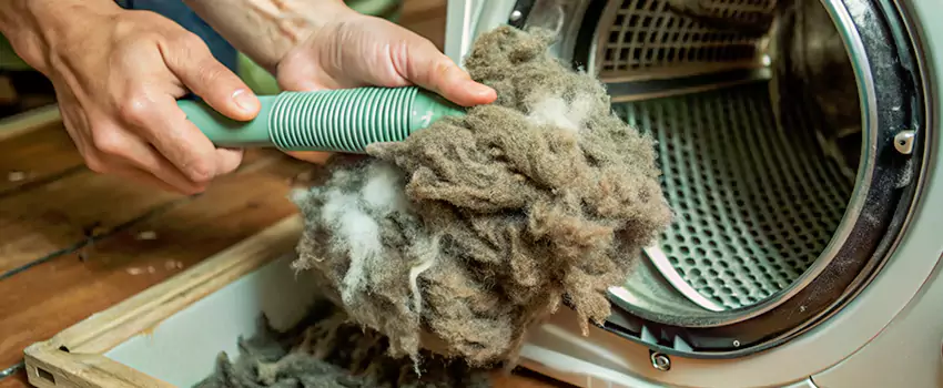Best Dryer Lint Removal Company in Lincoln, Ontario