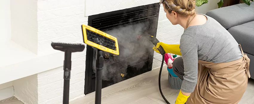 Fireplace Doors Cleaning in Lincoln, Ontario