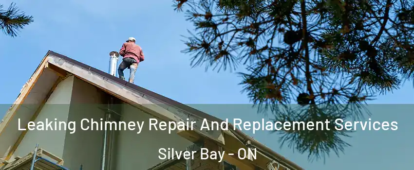  Leaking Chimney Repair And Replacement Services Silver Bay - ON