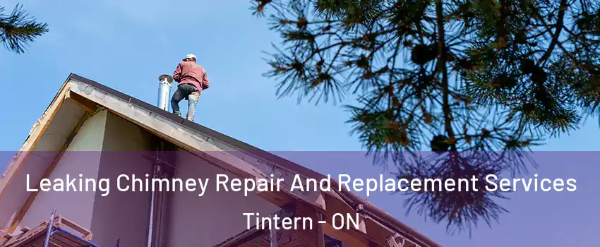  Leaking Chimney Repair And Replacement Services Tintern - ON