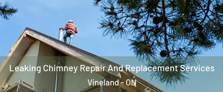  Leaking Chimney Repair And Replacement Services Vineland - ON
