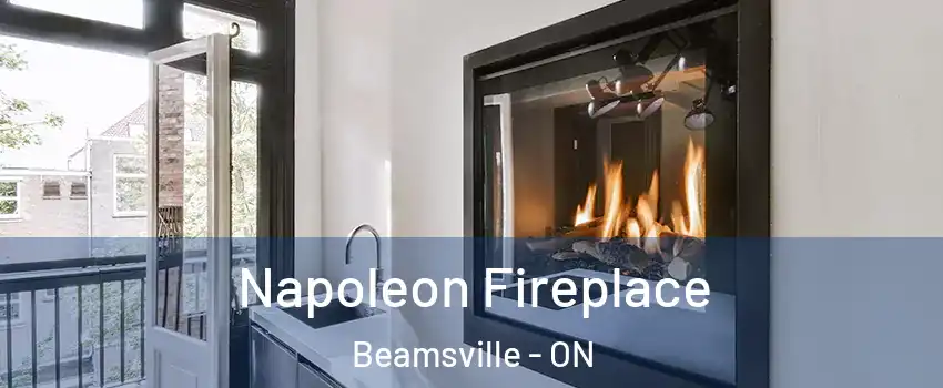 Napoleon Fireplace Beamsville - ON