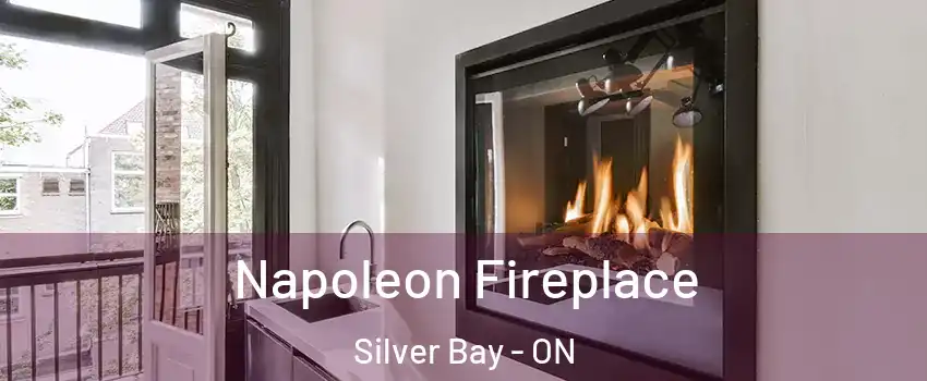  Napoleon Fireplace Silver Bay - ON