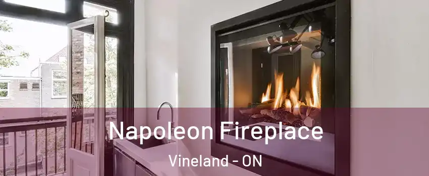 Napoleon Fireplace Vineland - ON