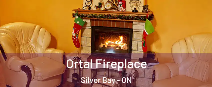 Ortal Fireplace Silver Bay - ON