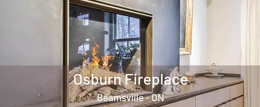  Osburn Fireplace Beamsville - ON