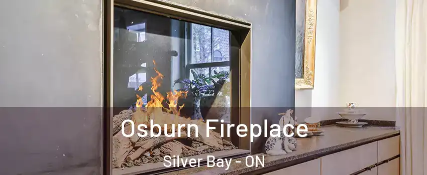  Osburn Fireplace Silver Bay - ON