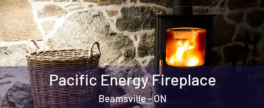  Pacific Energy Fireplace Beamsville - ON