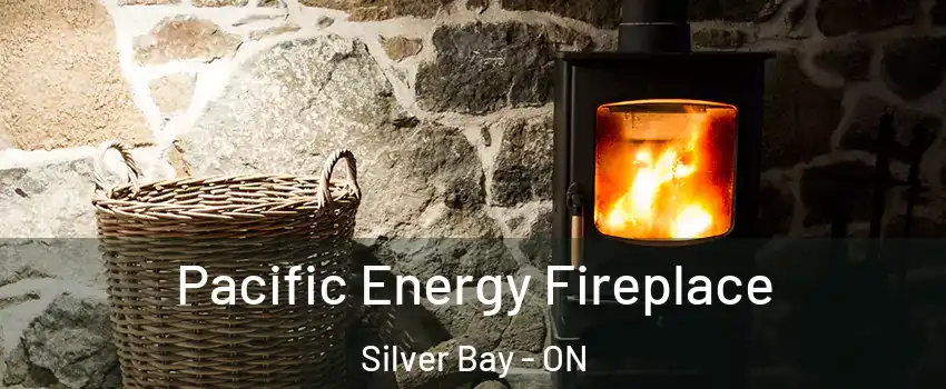 Pacific Energy Fireplace Silver Bay - ON