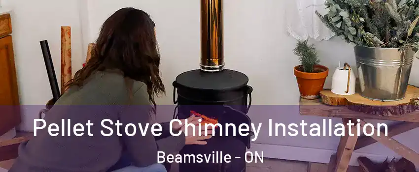  Pellet Stove Chimney Installation Beamsville - ON