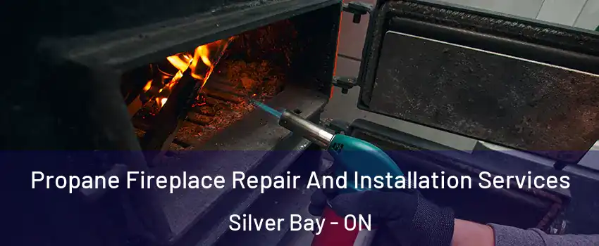  Propane Fireplace Repair And Installation Services Silver Bay - ON