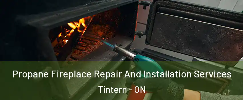 Propane Fireplace Repair And Installation Services Tintern - ON