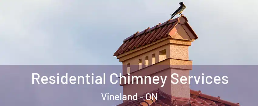  Residential Chimney Services Vineland - ON