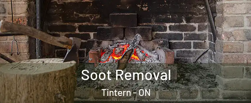  Soot Removal Tintern - ON