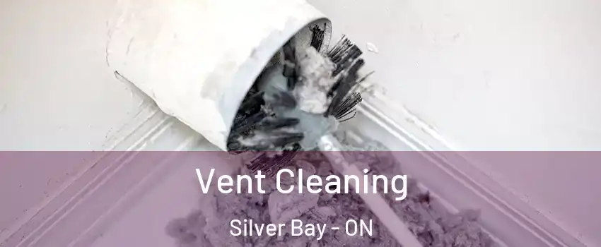  Vent Cleaning Silver Bay - ON