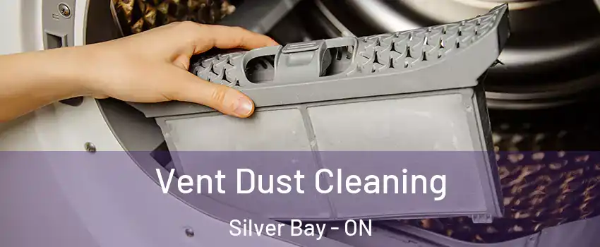  Vent Dust Cleaning Silver Bay - ON