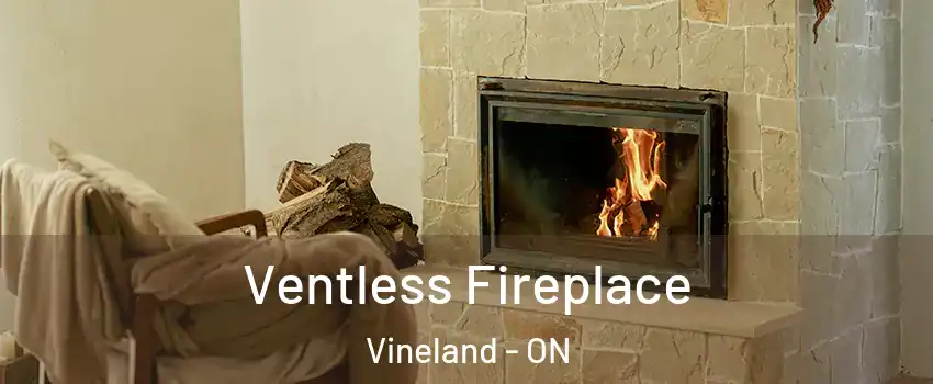  Ventless Fireplace Vineland - ON