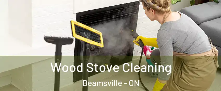  Wood Stove Cleaning Beamsville - ON